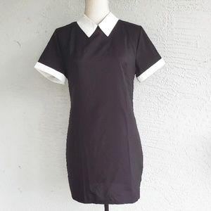 Black Dress w/ White Pan Collar NWOT